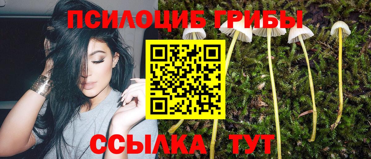 Дальнереченск  Псилоцибиновые грибы GOLDEN TEACHER  Вход с VPN  Галлюциногенные грибы мухоморы 