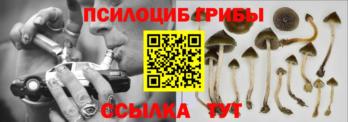 Псилоцибиновые грибы MAGIC MUSHROOMS Дальнереченск